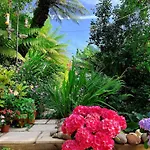 Funky Urban Jungle