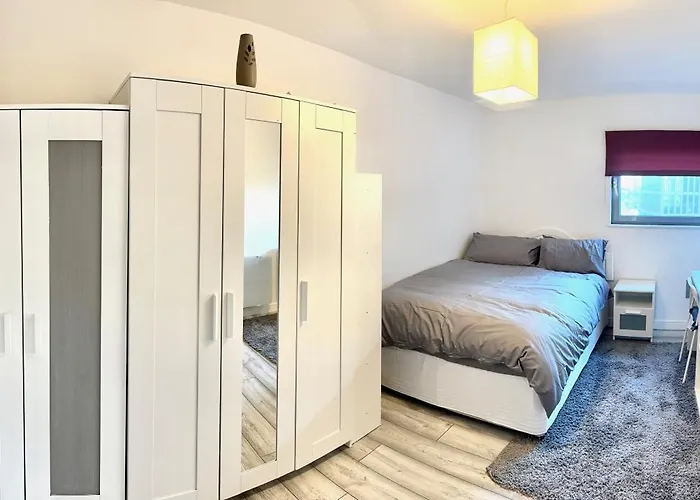 Large Double Room In Cardiff City Centre With Live In Host