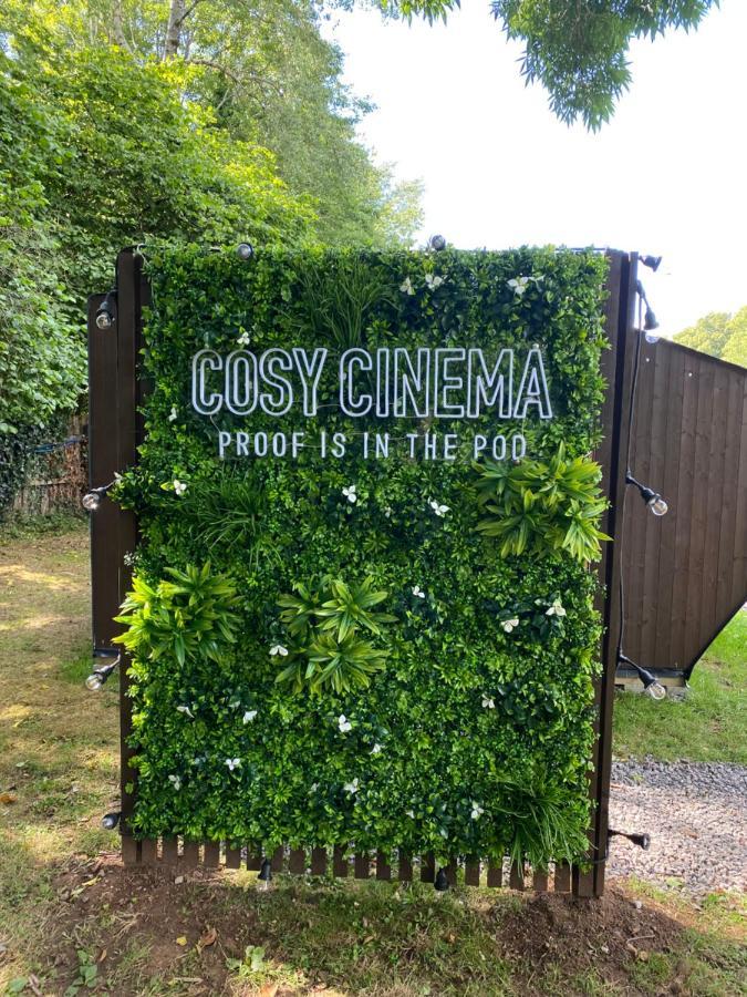 Cosy Cinema Cardiff