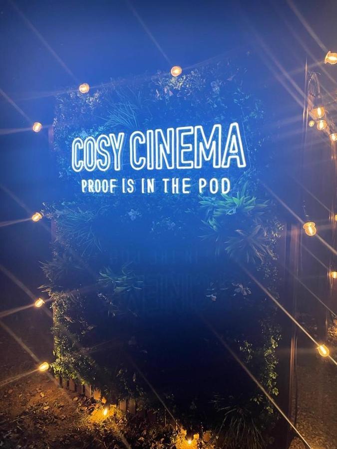 Cosy Cinema *