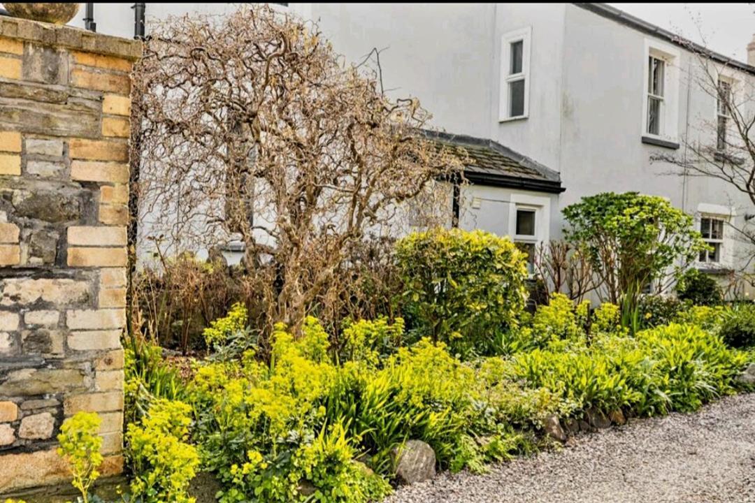 Guest house The Mews - Less Than 1km To Centre - Stadium - Castle - 10 Min Walk Cardiff