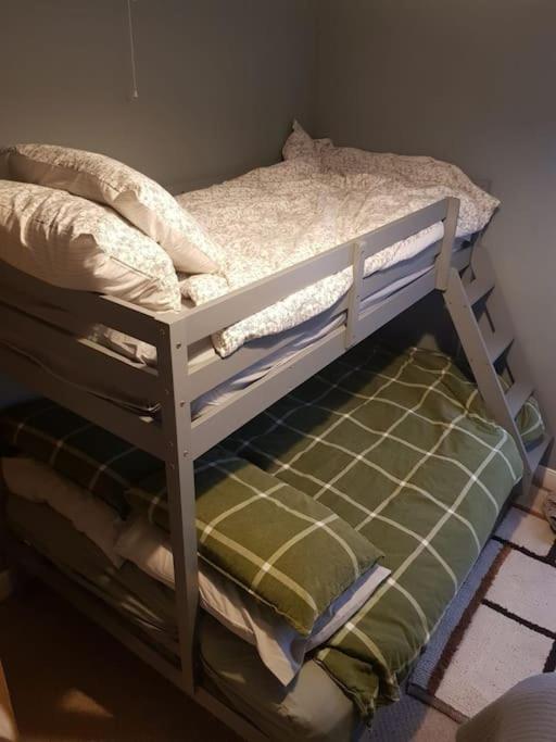 Just The Splott! Sleeps 6, 8 Mins To Stadium. Holiday home *