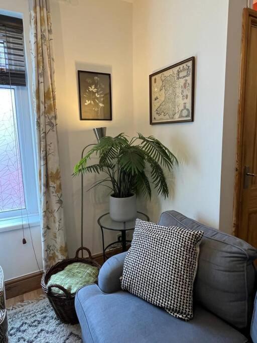 Holiday home Just The Splott! Sleeps 6, 8 Mins To Stadium.