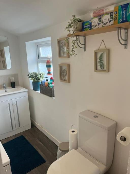Just The Splott! Sleeps 6, 8 Mins To Stadium. Cardiff