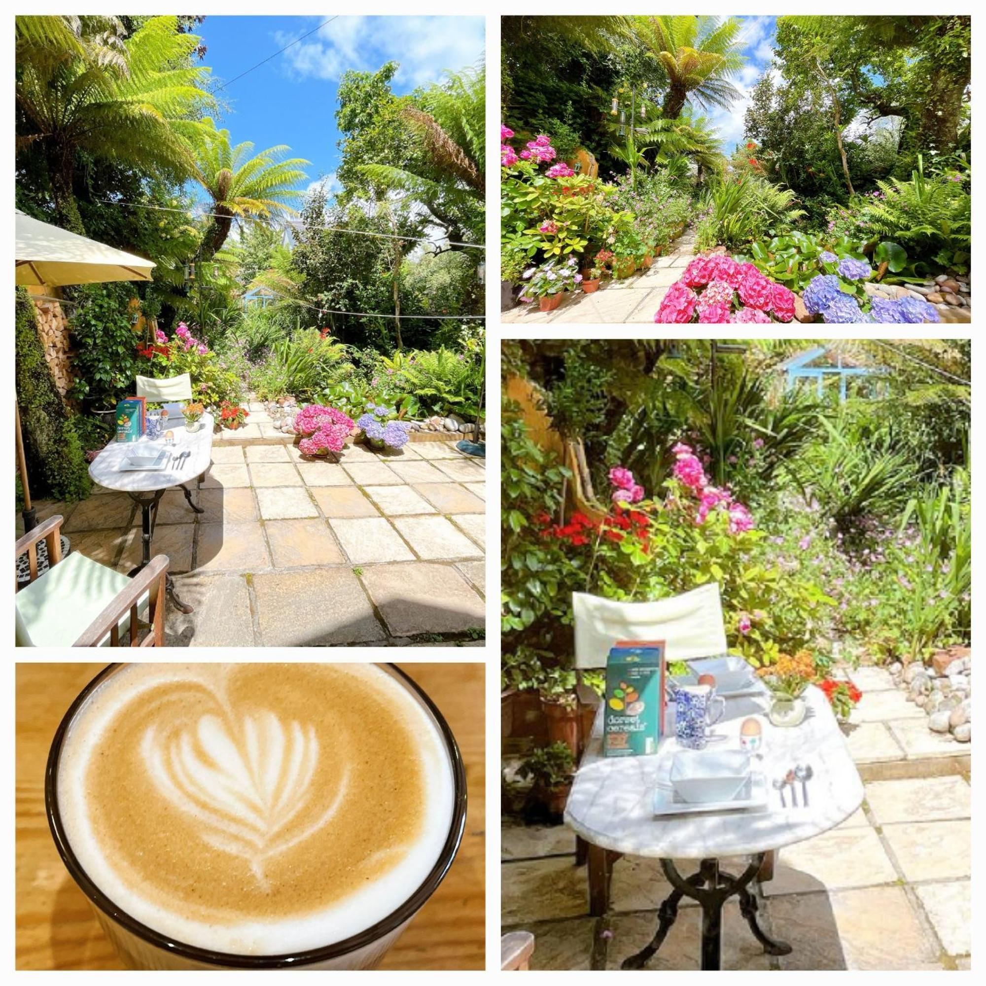 Funky Urban Jungle Bed & Breakfast Cardiff