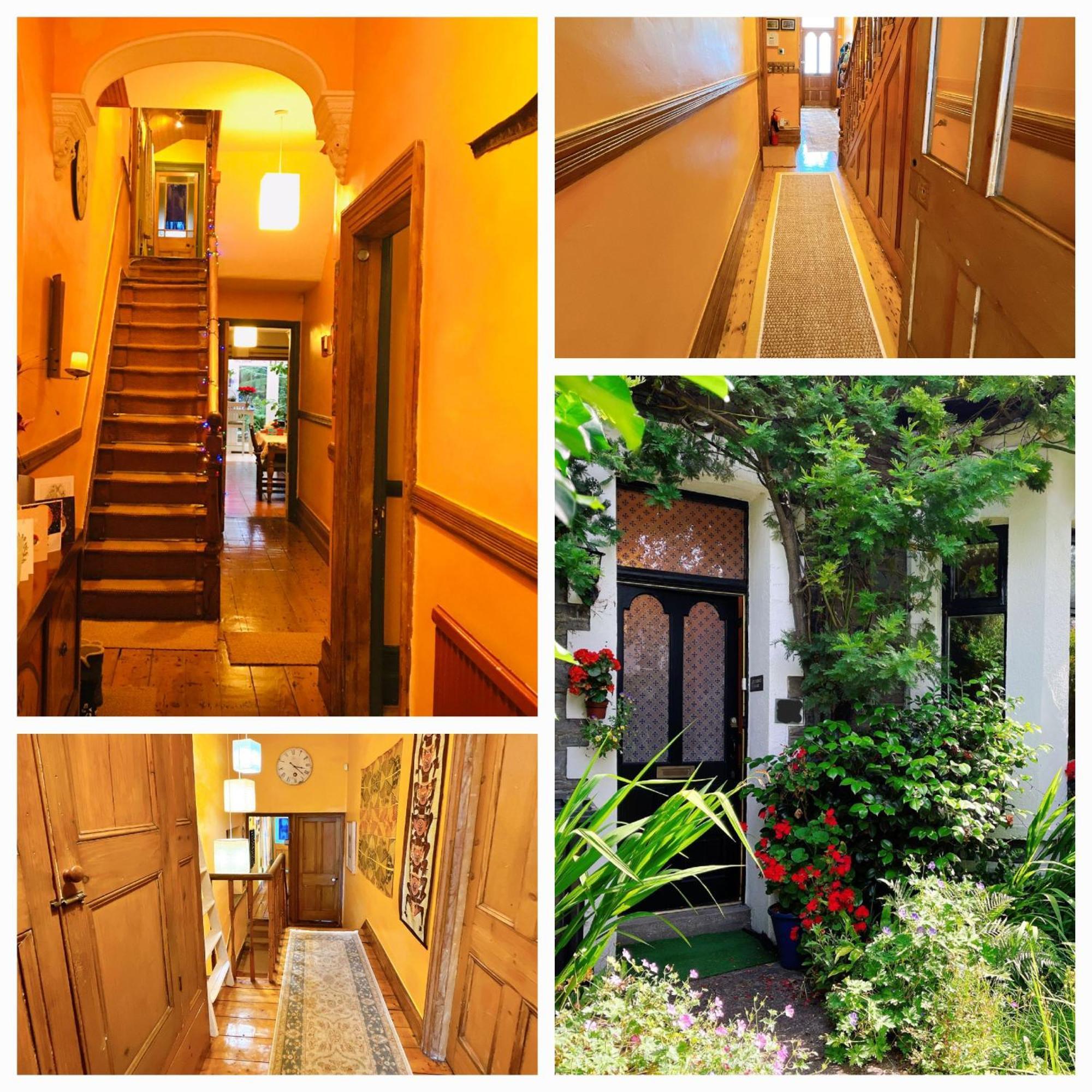 Funky Urban Jungle Bed & Breakfast *