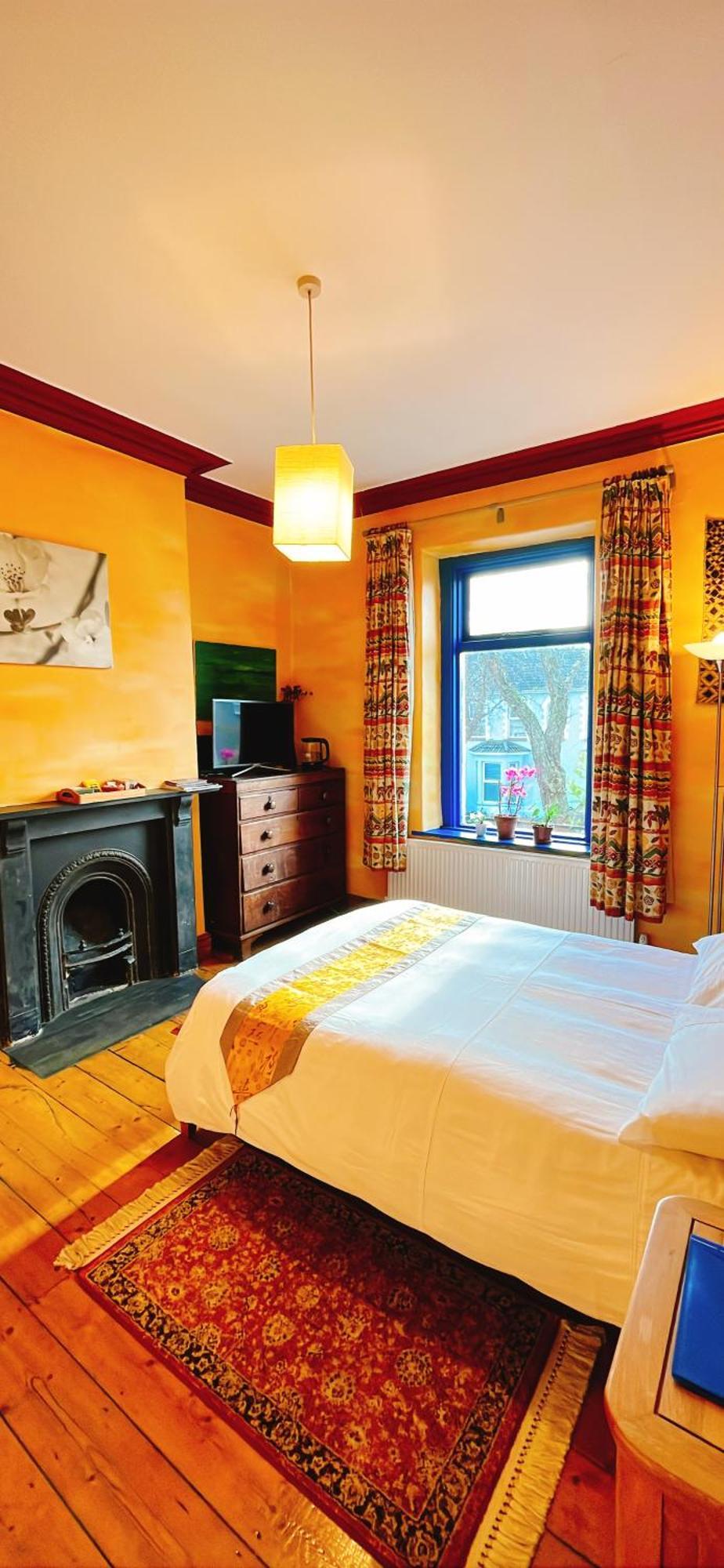 Funky Urban Jungle Bed & Breakfast