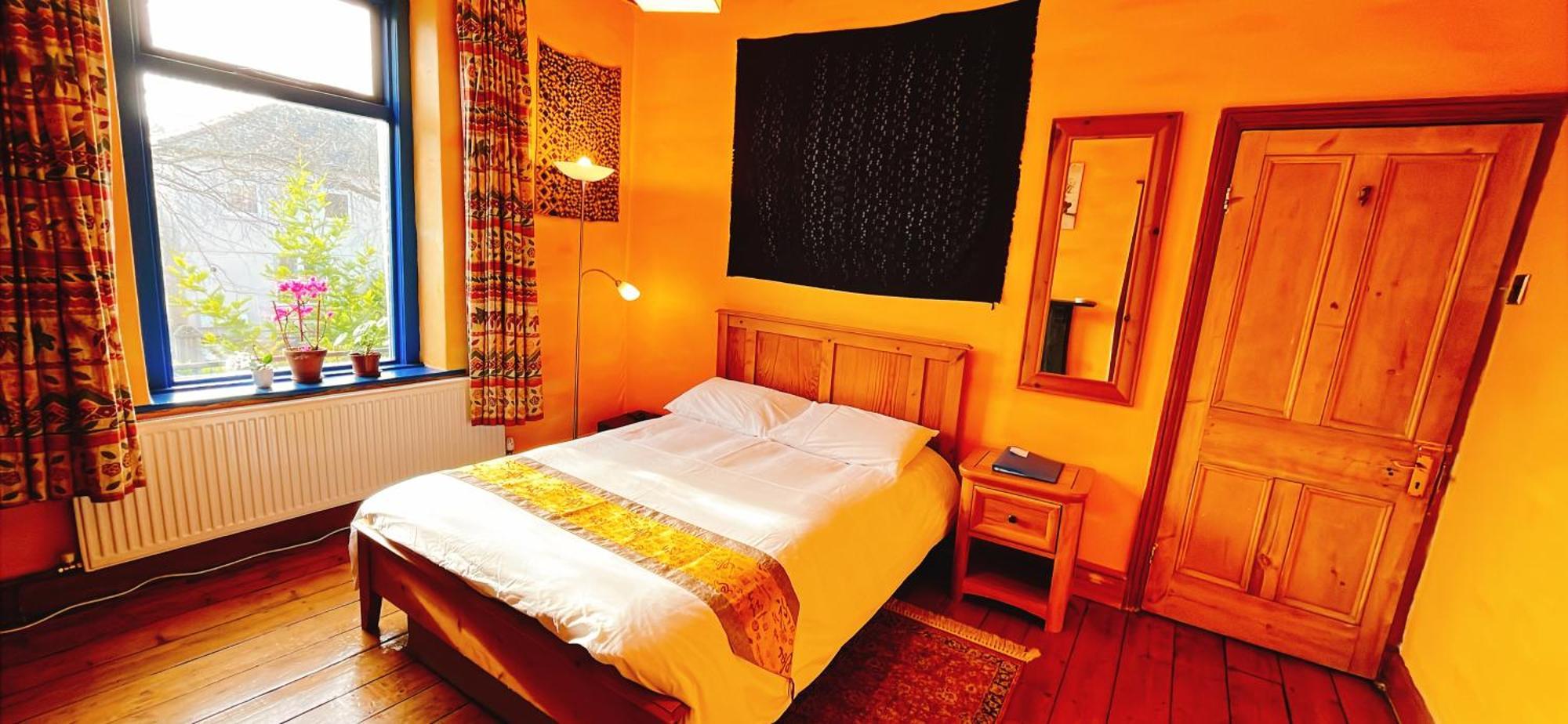 Funky Urban Jungle Bed & Breakfast *