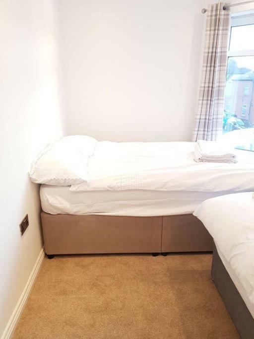 Apartment With Roof Terrace Close To City Centre Cardiff