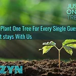 Bayview - 2 Bed Apartment With Parking - Long Stay Discounts - By Dyzyn