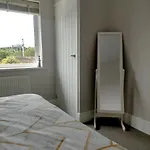 Sunny Room In Modern House