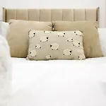 Spacious Pontcanna Apartment, Driveway Parking & 10 Min To City Centre