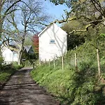 The Foretop