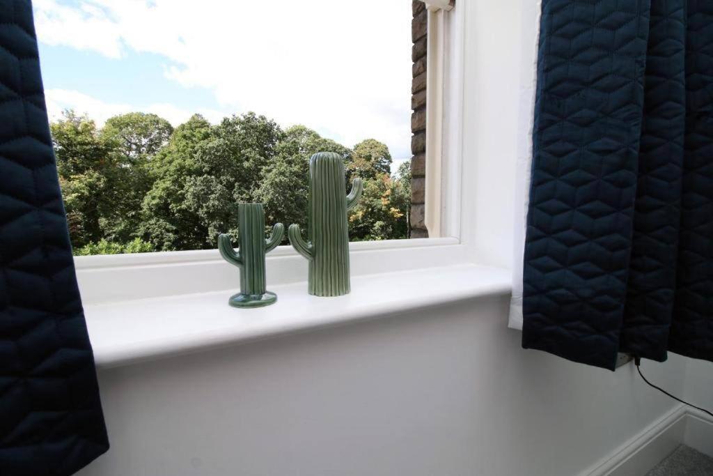 16 North Road Flat 4 By Mia Living Free Parking On Site Apartment Cardiff
