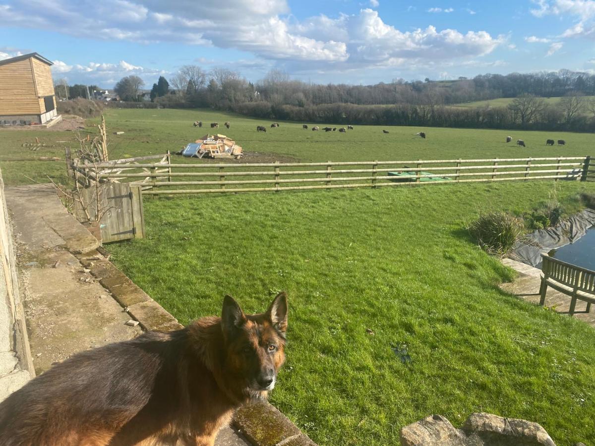 Holiday home The Deerview Cardiff
