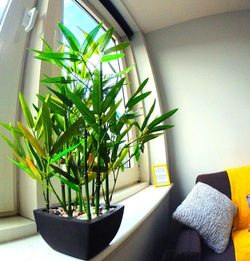 Apartment Studio For Professionals Trades Relocators