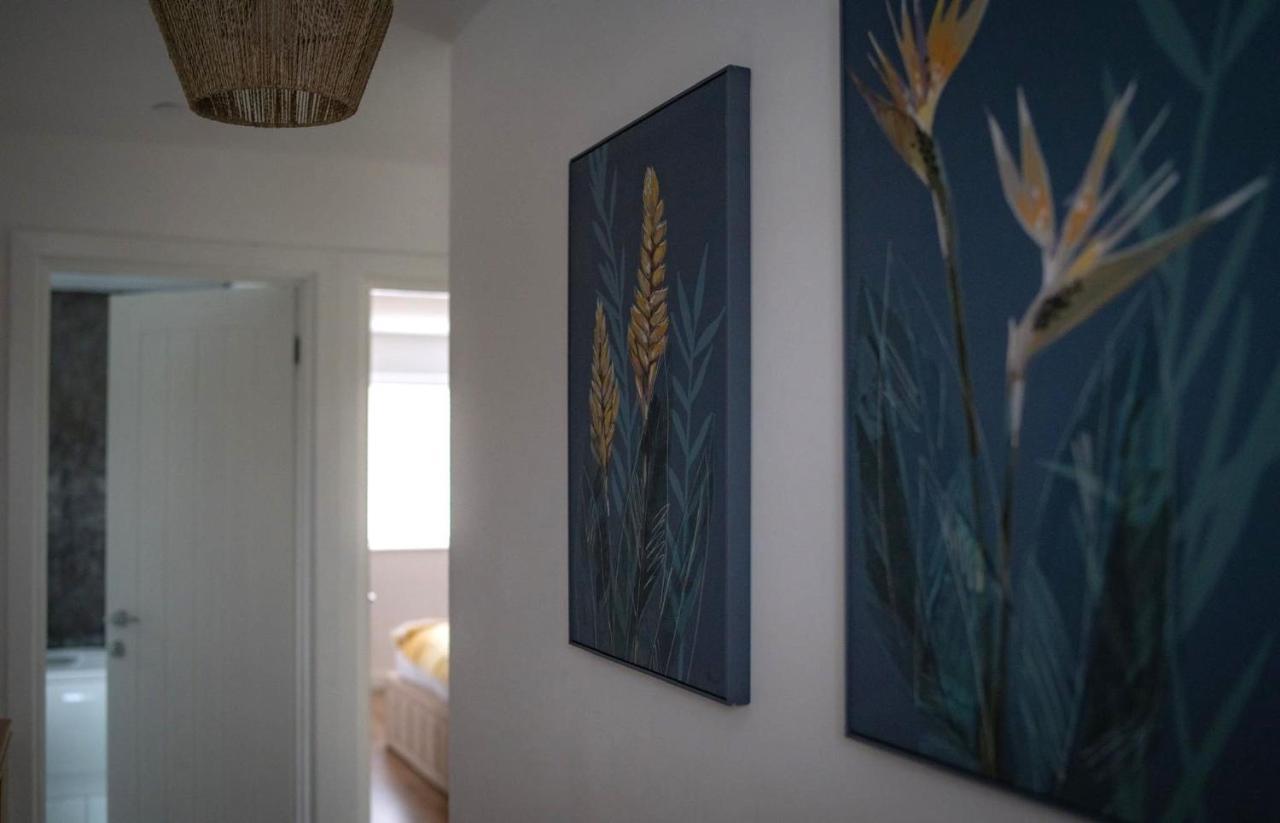 The Red House Modern Stylish From Walking Distance To Bay And Centre With Parking Cardiff