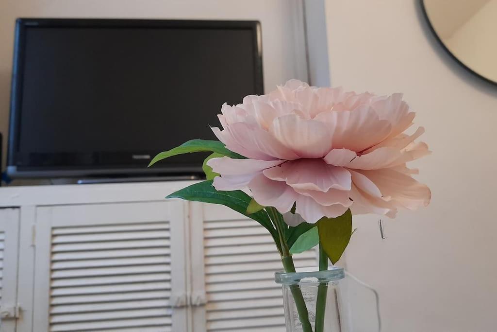 Spacious 4 Bedroom, Free Netflix, Central Location Apartment *