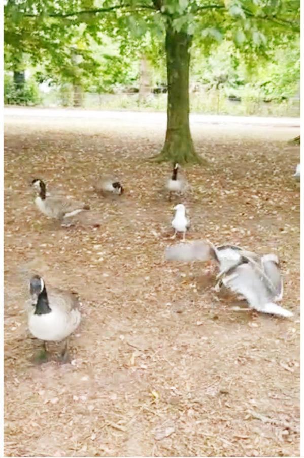 Blessings Of Peace Away From * Cardiff