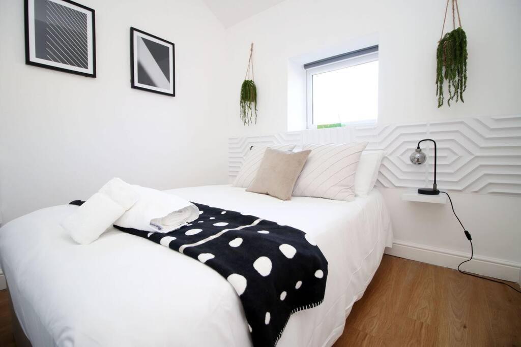 2 Bedroom Entire Near Principality Stadium Apartment *