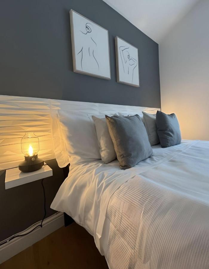 2 Bed Apartment, Close To City Centre, Principality Stadium Apartment