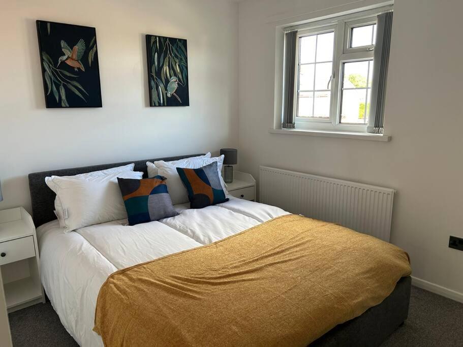 Charming Home, Walking Distance To Bay And Centre With Parking Apartment *