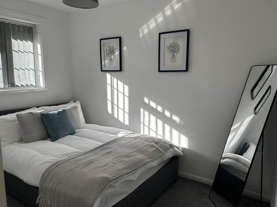 Charming Home, Walking Distance To Bay And Centre With Parking *