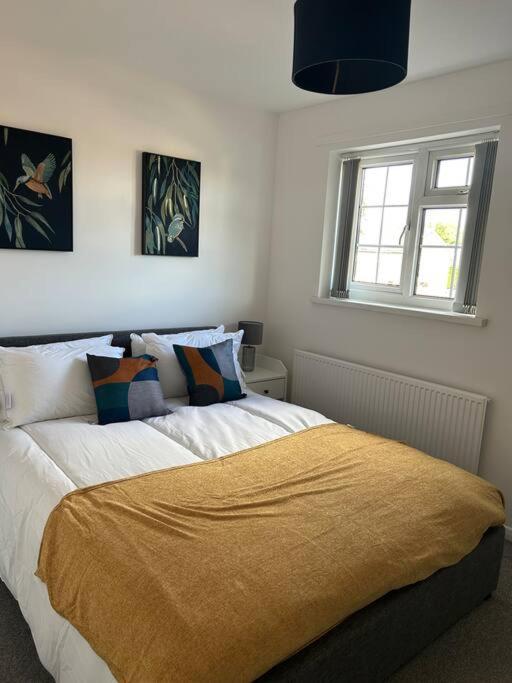 Apartment Charming Home, Walking Distance To Bay And Centre With Parking