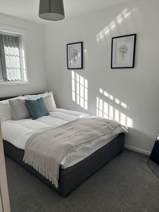 Charming Home, Walking Distance To Bay And Centre With Parking Apartment Cardiff