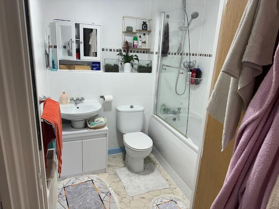 Entire Flat In