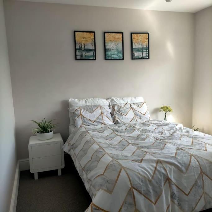 Sunny In Modern House * Cardiff