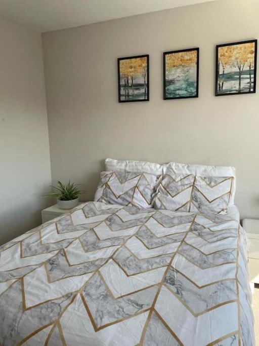 Sunny In Modern House Homestay Cardiff
