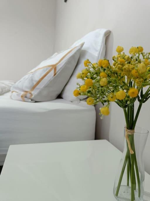Homestay Sunny In Modern House *
