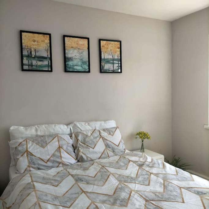 Homestay Sunny In Modern House