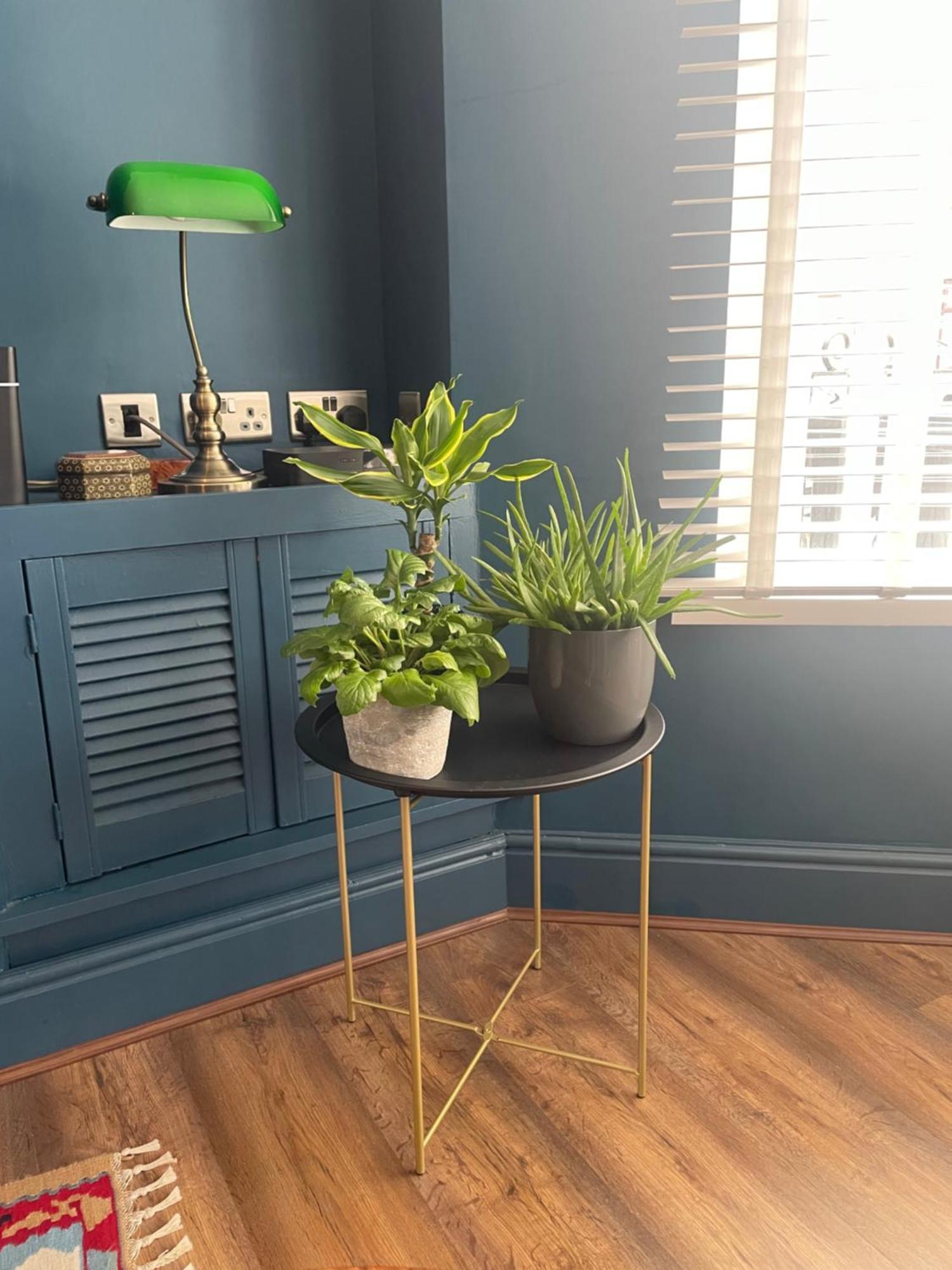 Cosy Vibes House Apartment *
