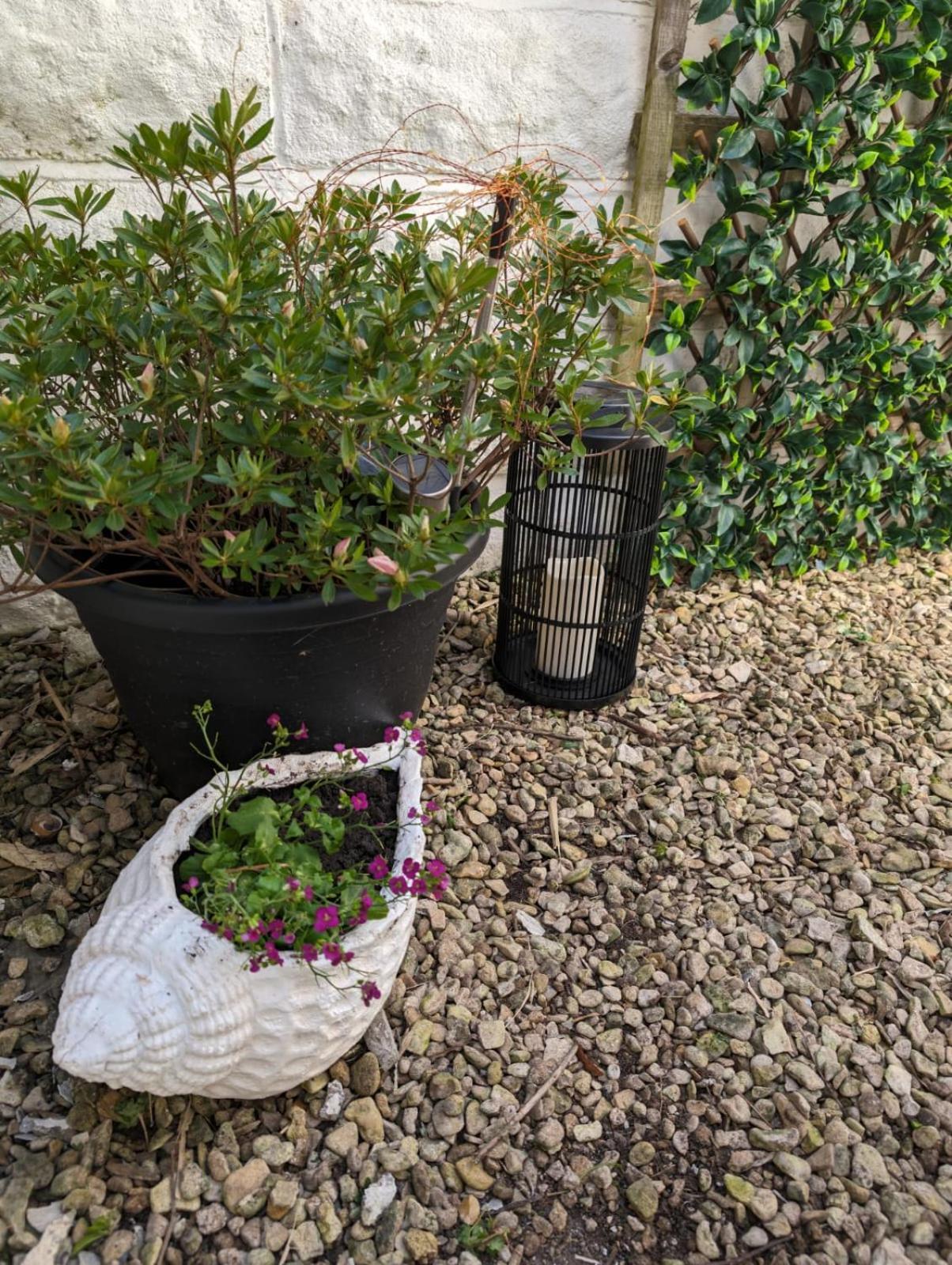 Coastal Penarth Dream! Close To Superb Location Near Bars And Restaurants! Dog Friendly And Welcome Breakfast Pack! Apartment *
