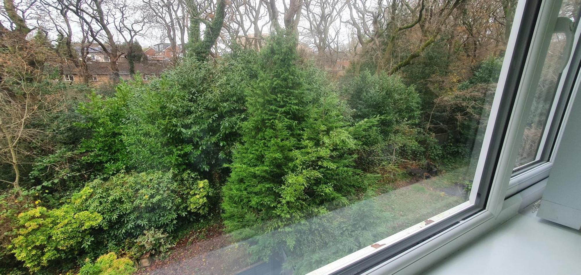 The Coral - 2 Bedroom In Lakeside, Minutes From Roath Park Apartment *