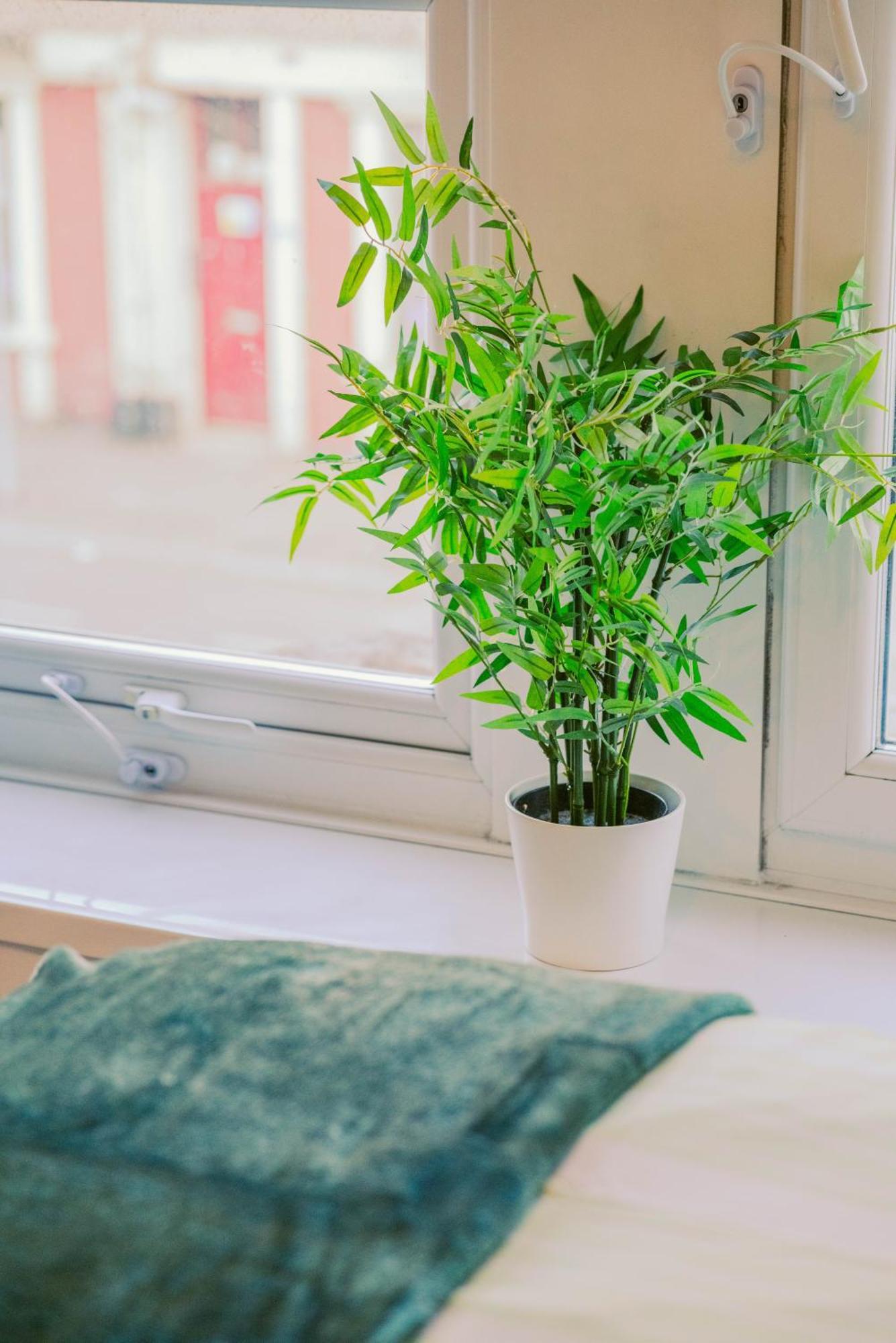 Apartment Modern 4 Bed - Centre - Free Parking