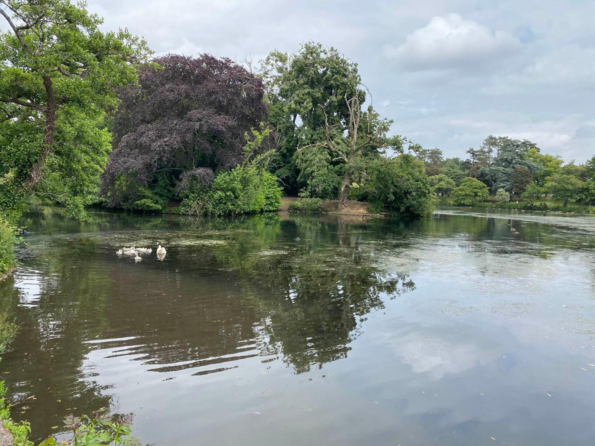 Roath Park Supermarket, Restaurants & Parking * Cardiff