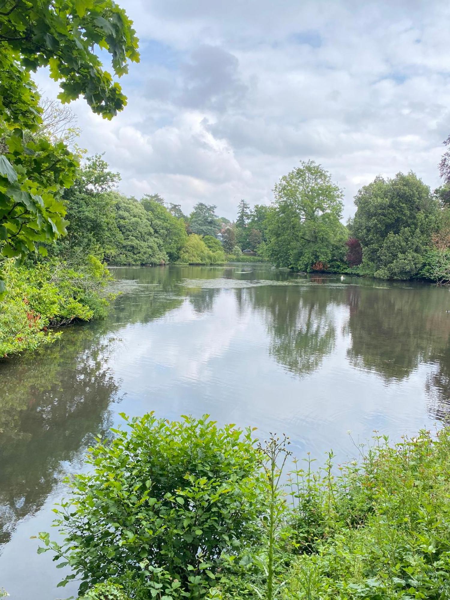 Roath Park Supermarket, Restaurants & Parking * Cardiff