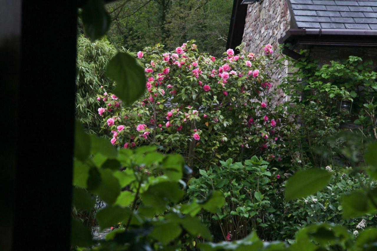 Apartment Ty Carreg Fach Staycation Cardiff