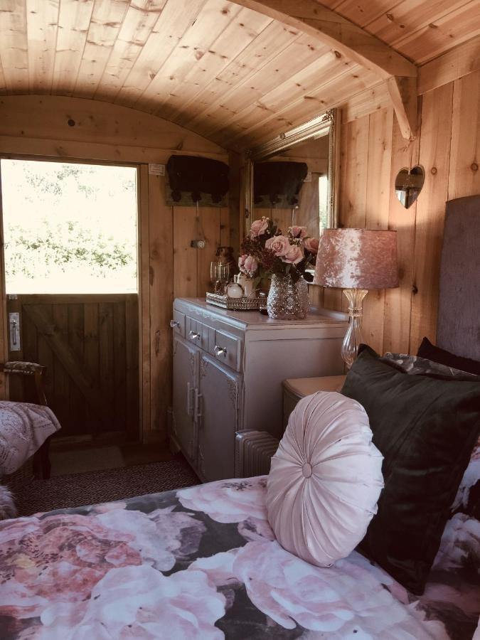 Campsite Y Cwt Bach