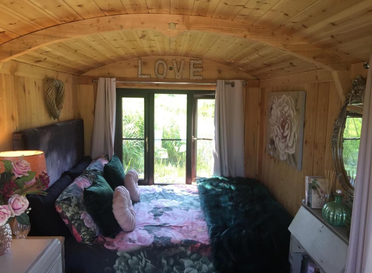 Campsite Y Cwt Bach