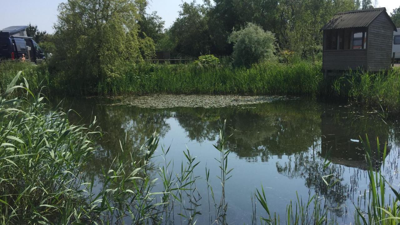 Y Cwt Bach Campsite