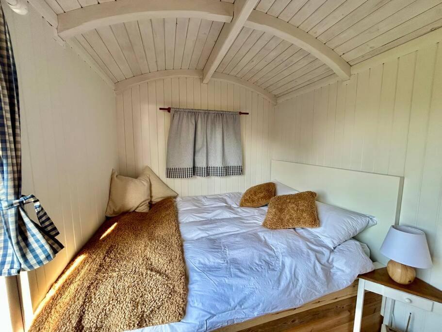 Shepherds Hut In Enclosed Field Chalet