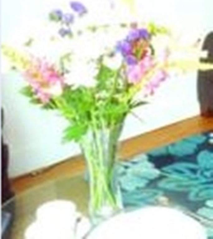 Hotel Meridian Terrace Serviced