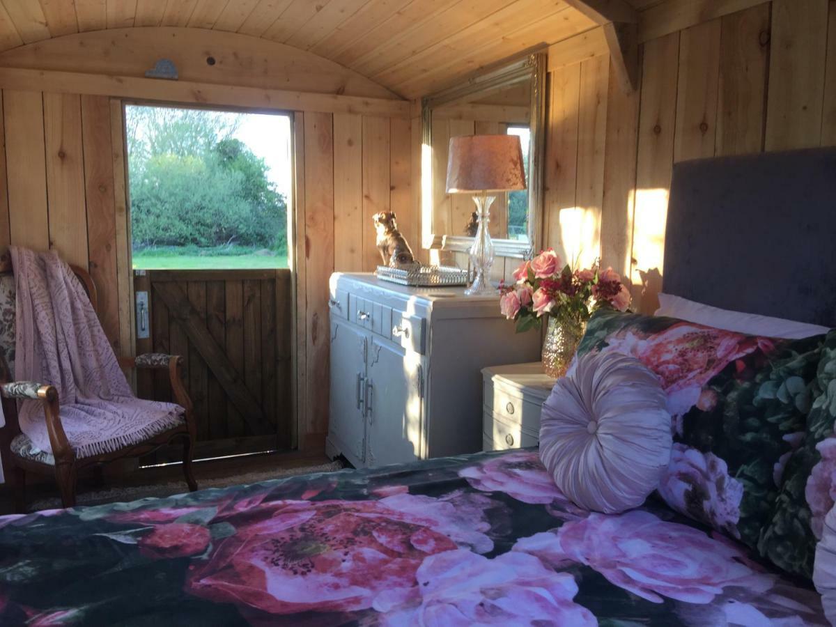 Campsite Y Cwt Bach Cardiff