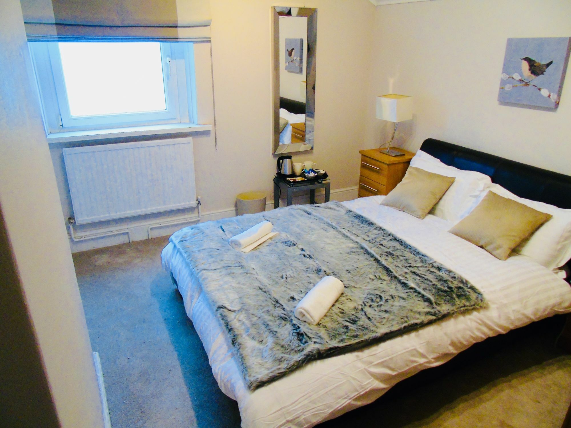 Willows - 3*