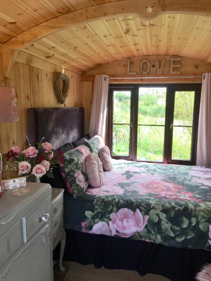 Y Cwt Bach Campsite Cardiff